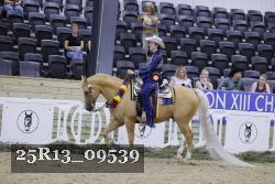 25R13_09539 thumbnail