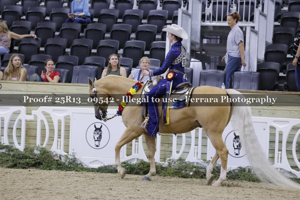 Proof Number 25R13_09542