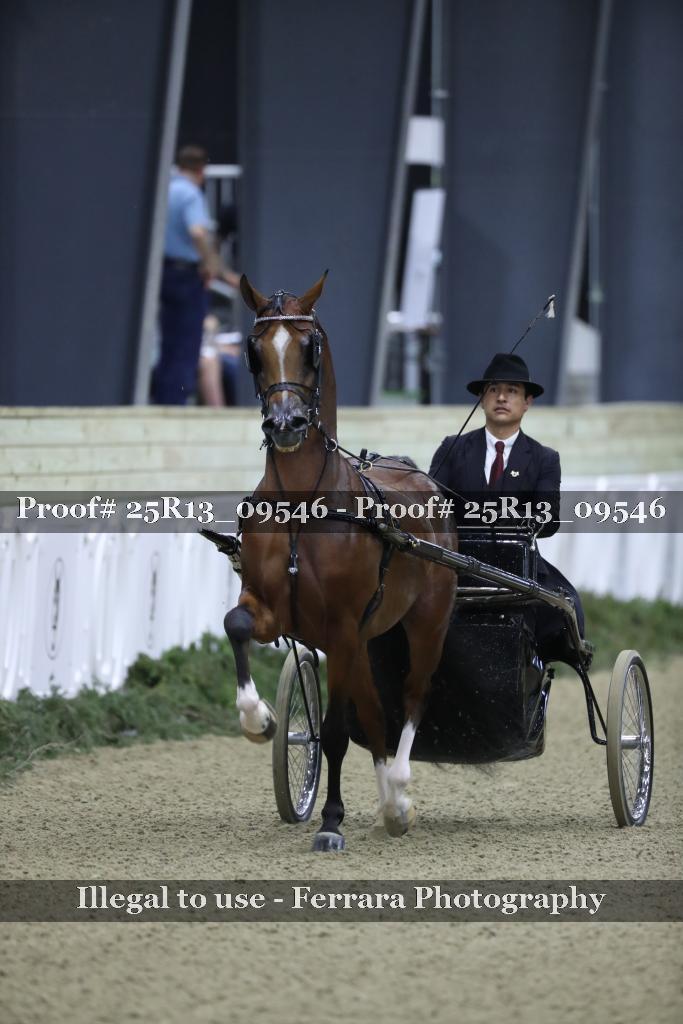 Proof Number 25R13_09546