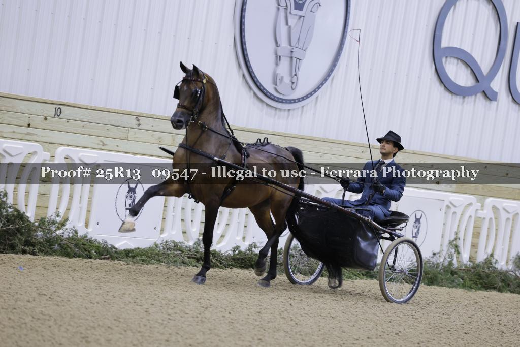 Proof Number 25R13_09547