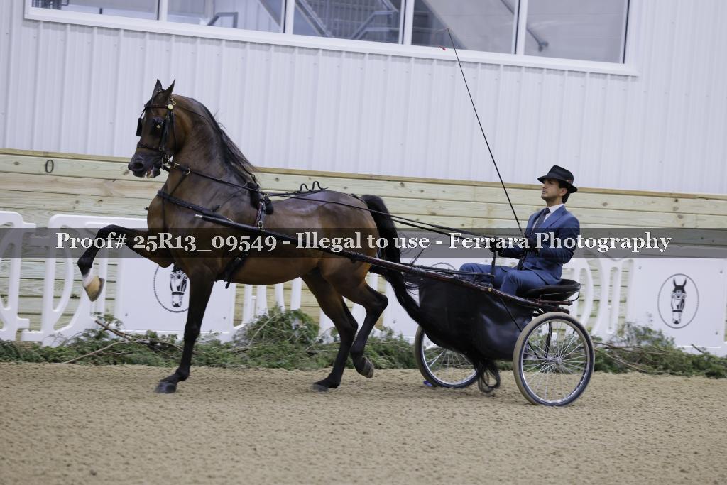 Proof Number 25R13_09549