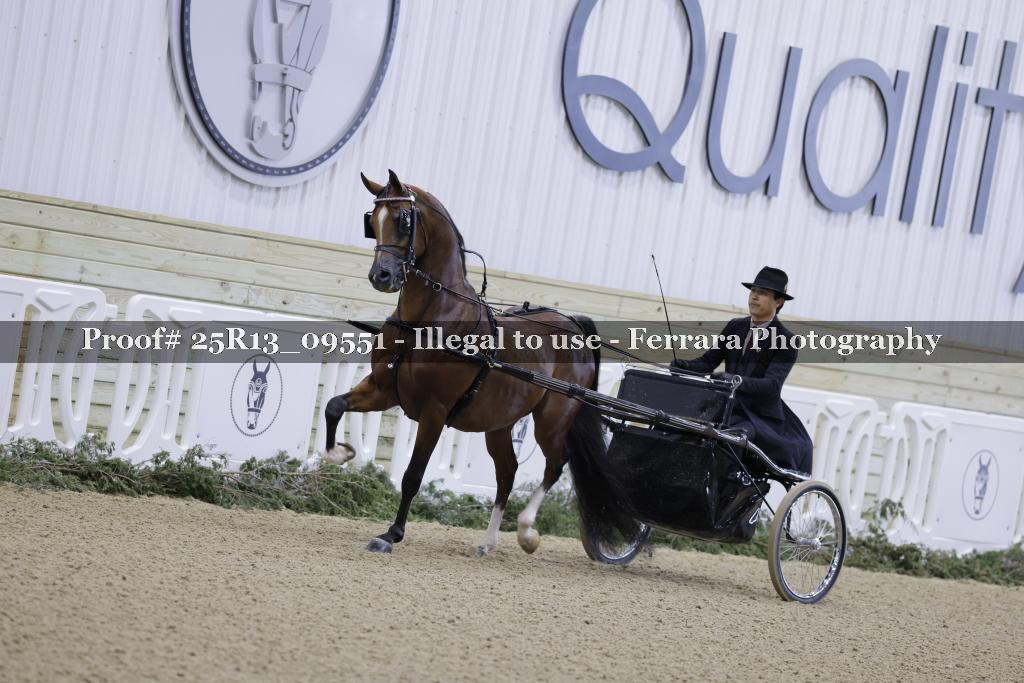Proof Number 25R13_09551