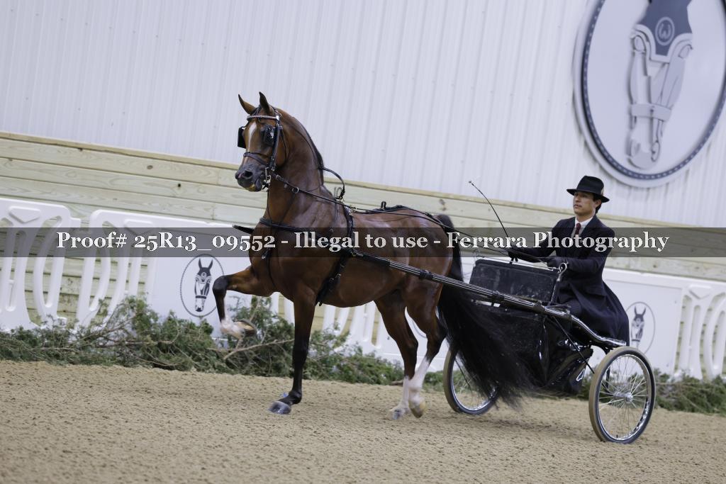 Proof Number 25R13_09552