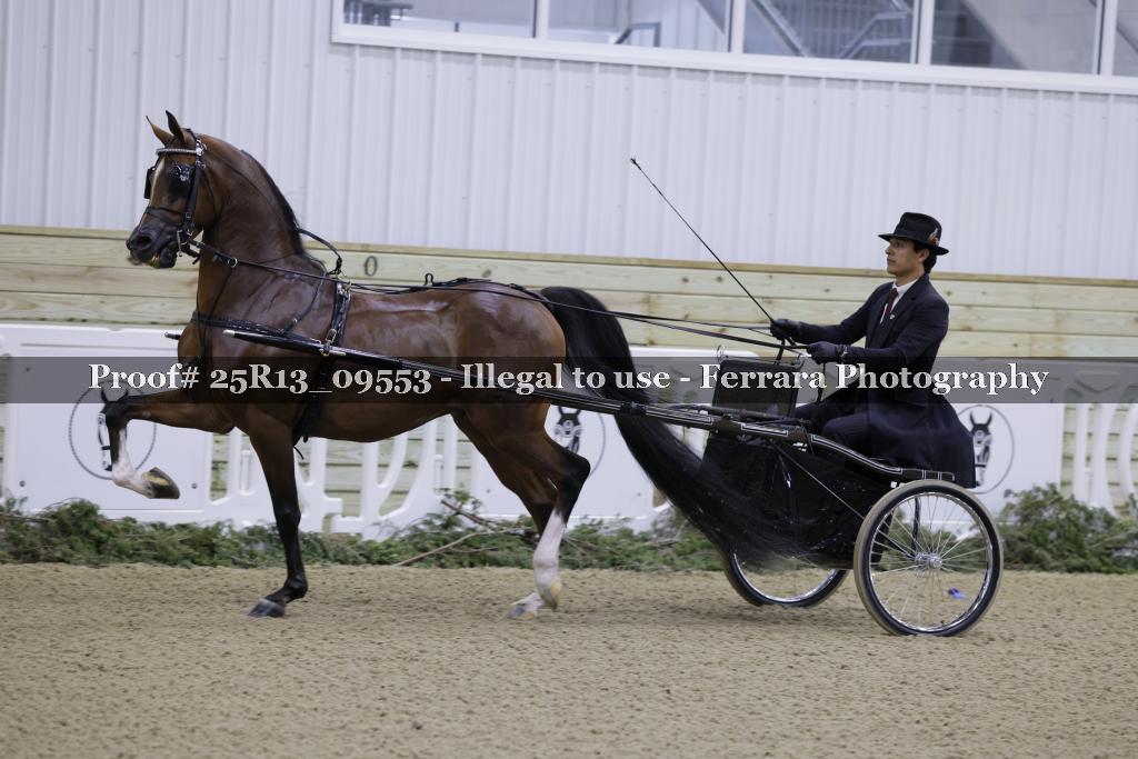 Proof Number 25R13_09553