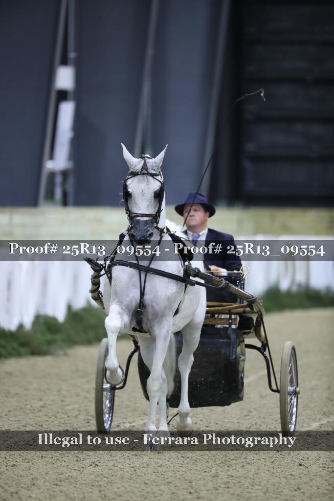 Proof Number 25R13_09554