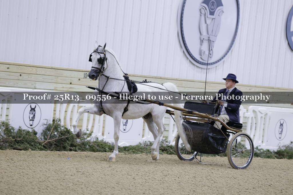 Proof Number 25R13_09556