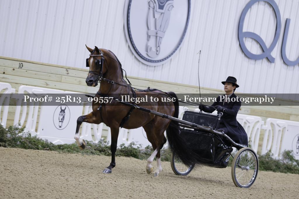 Proof Number 25R13_09557