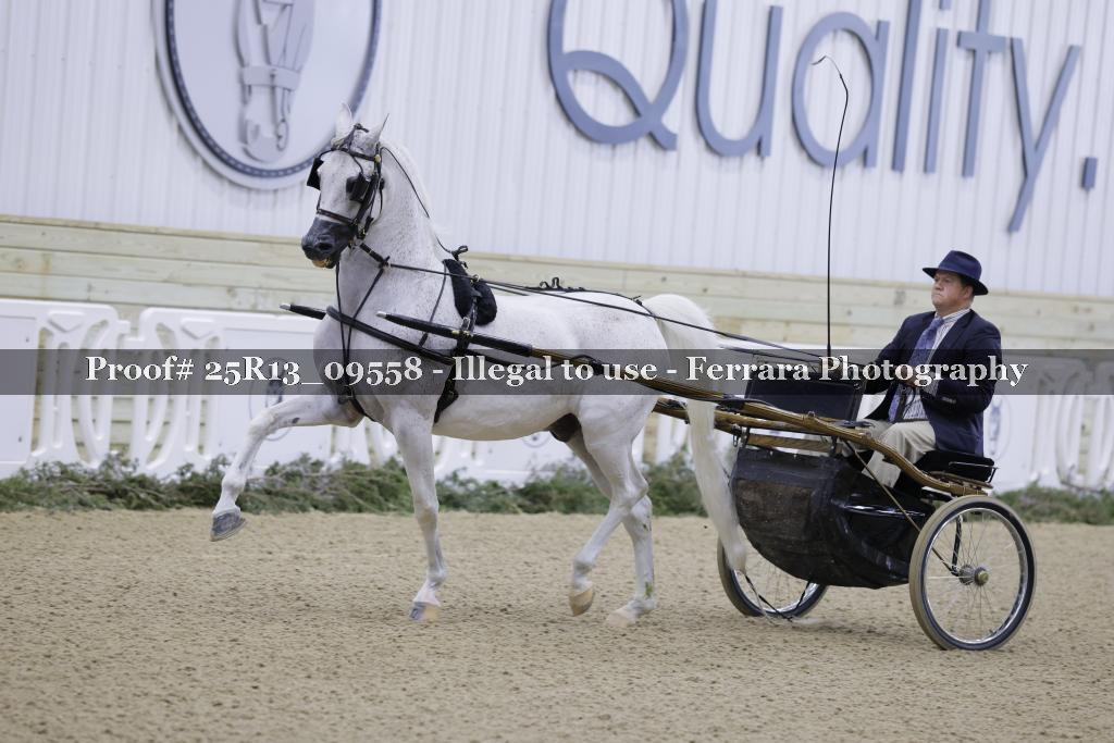 Proof Number 25R13_09558