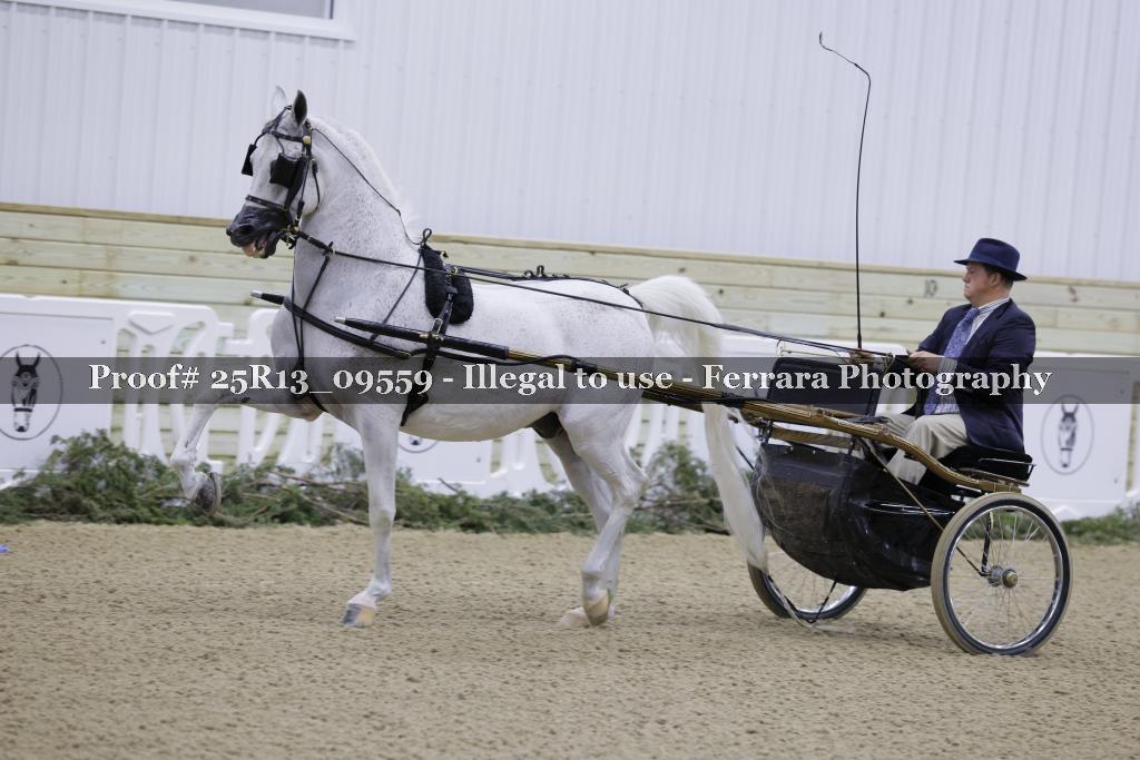 Proof Number 25R13_09559
