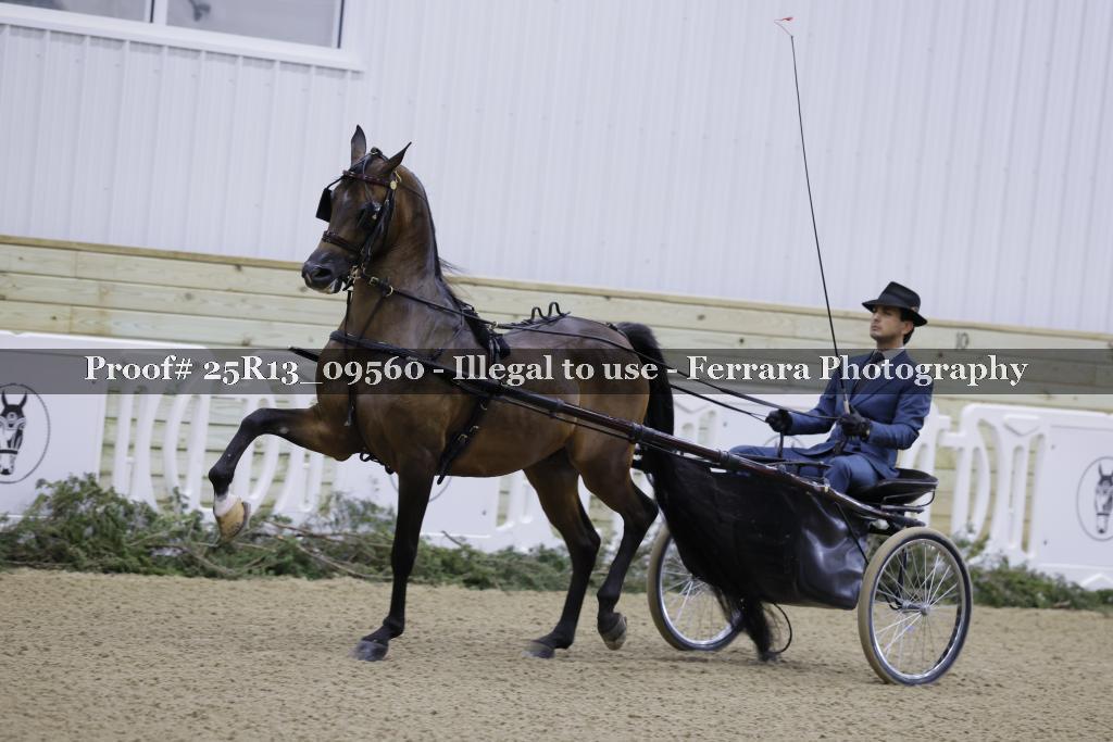 Proof Number 25R13_09560