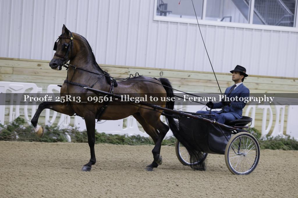 Proof Number 25R13_09561