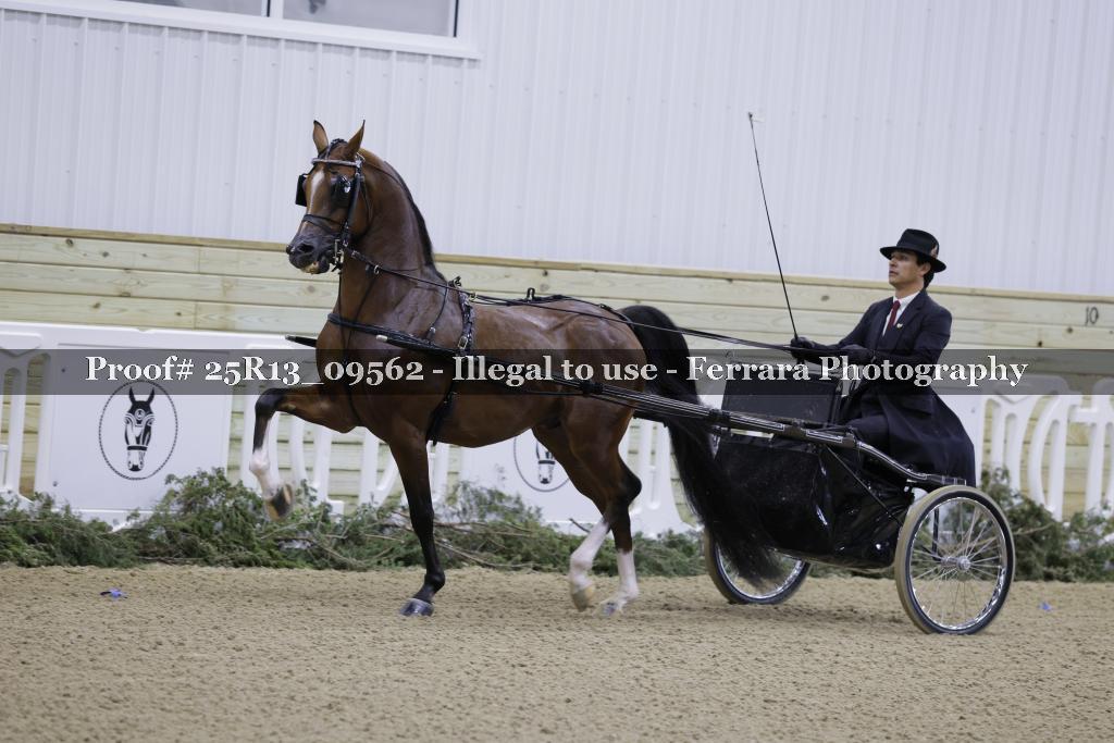 Proof Number 25R13_09562