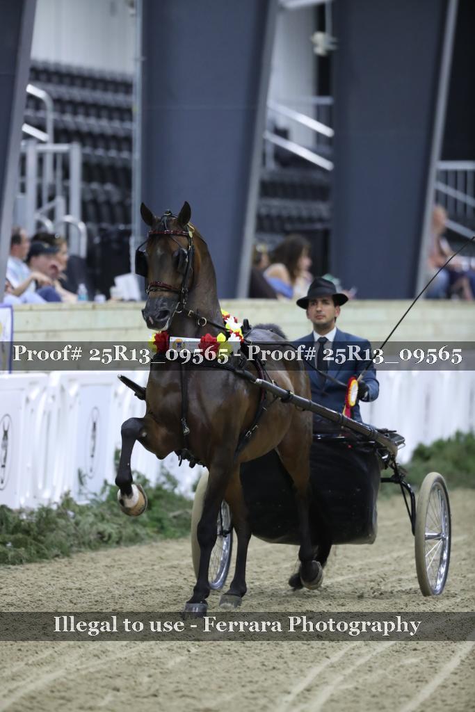 Proof Number 25R13_09565