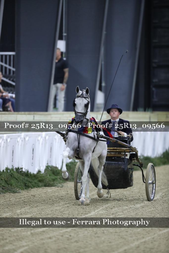 Proof Number 25R13_09566