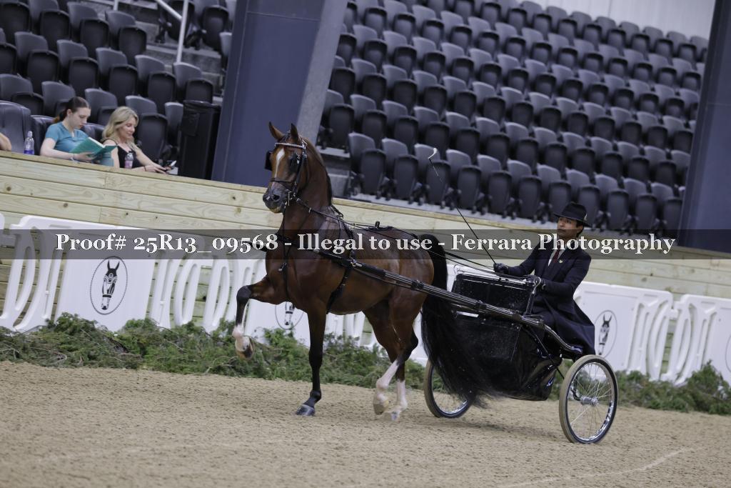 Proof Number 25R13_09568