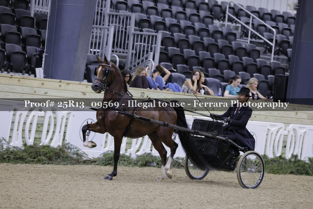 Proof Number 25R13_09569