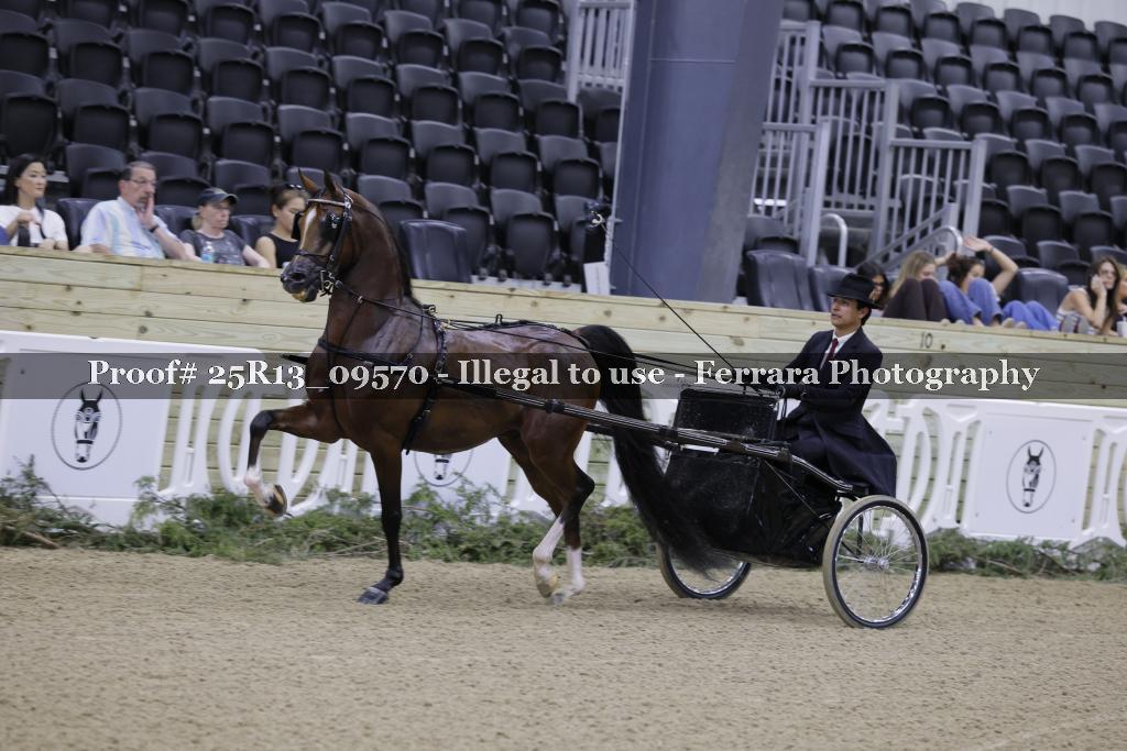 Proof Number 25R13_09570