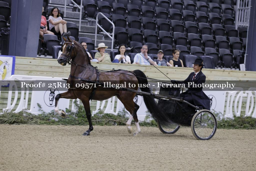 Proof Number 25R13_09571