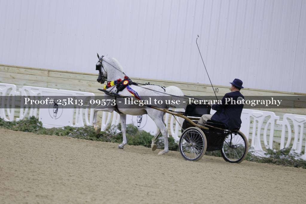 Proof Number 25R13_09573