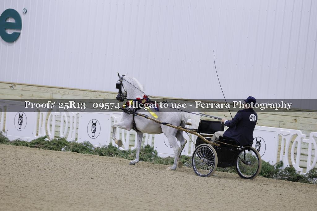 Proof Number 25R13_09574