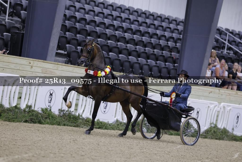 Proof Number 25R13_09575
