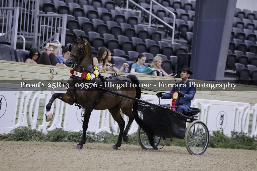 Proof Number 25R13_09576