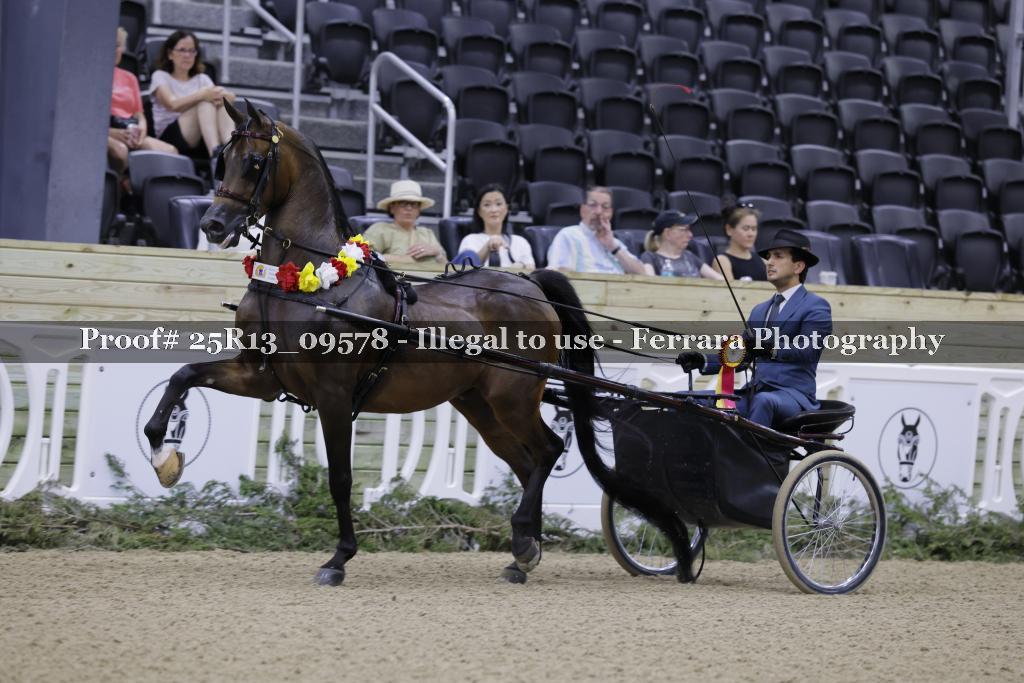 Proof Number 25R13_09578