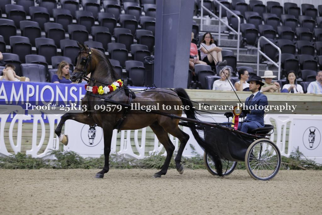 Proof Number 25R13_09579