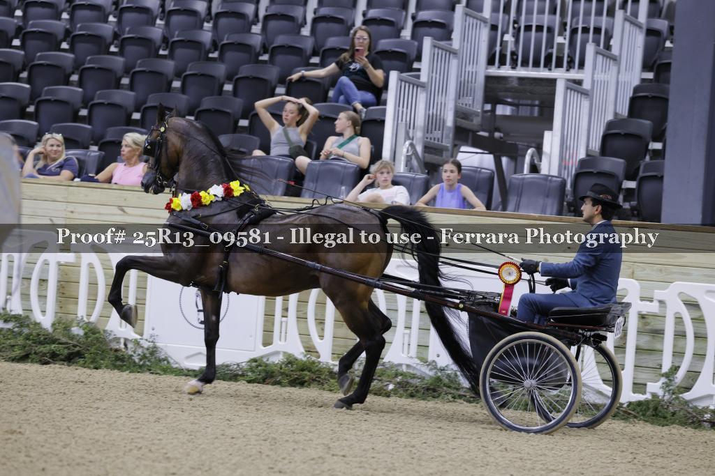 Proof Number 25R13_09581