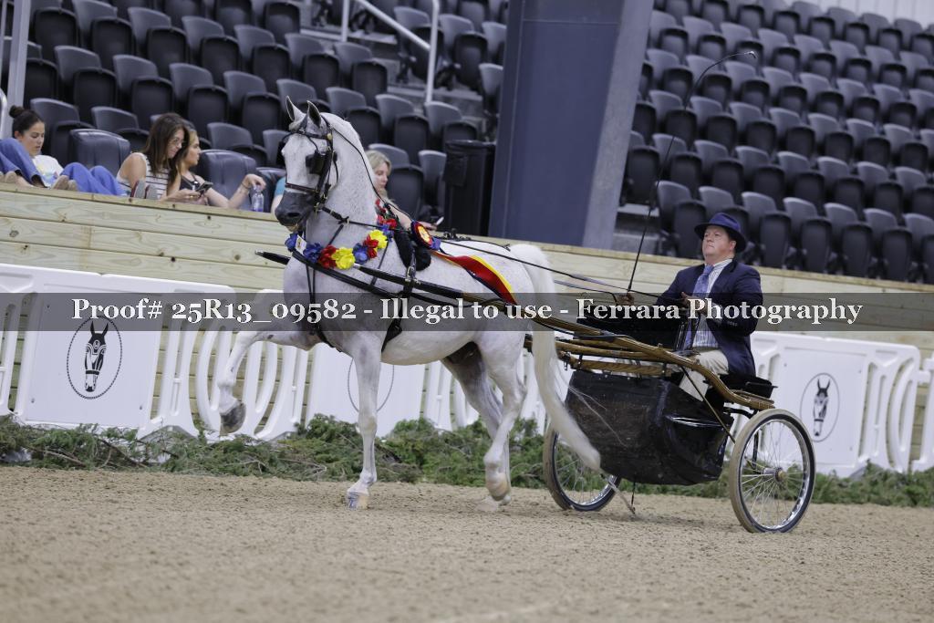 Proof Number 25R13_09582