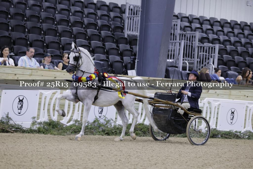 Proof Number 25R13_09583