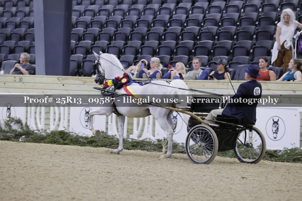 Proof Number 25R13_09587