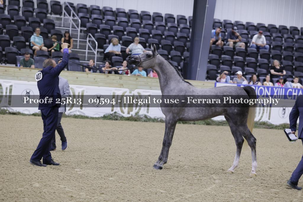 Proof Number 25R13_09594