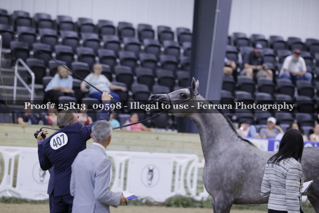 Proof Number 25R13_09598