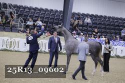 25R13_09602 thumbnail
