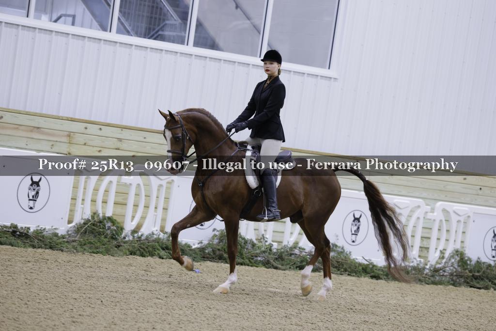 Proof Number 25R13_09607