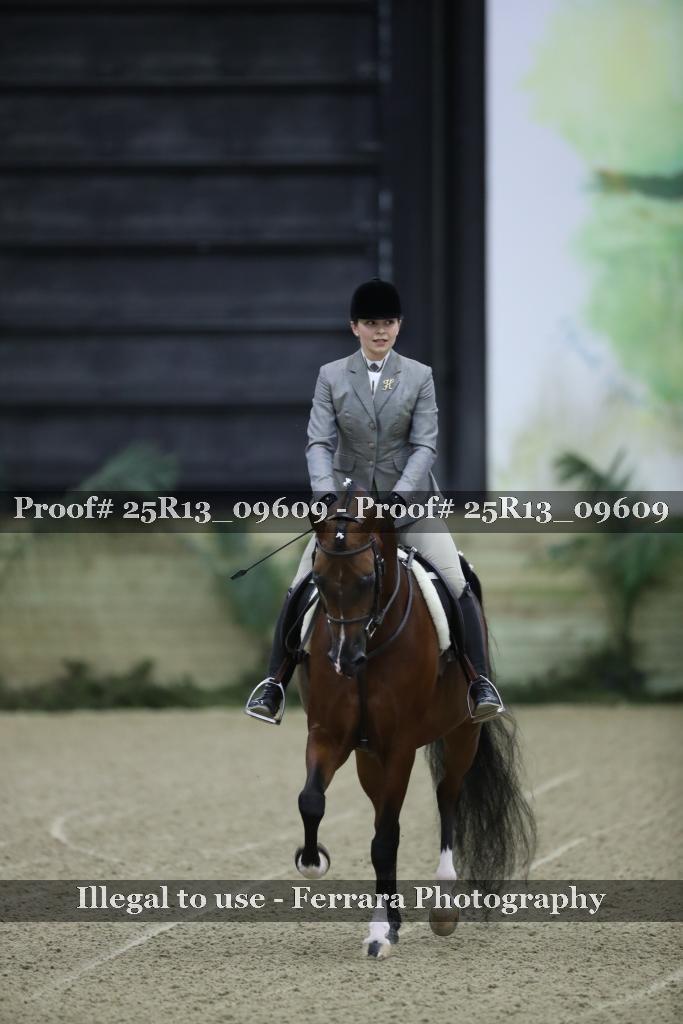 Proof Number 25R13_09609
