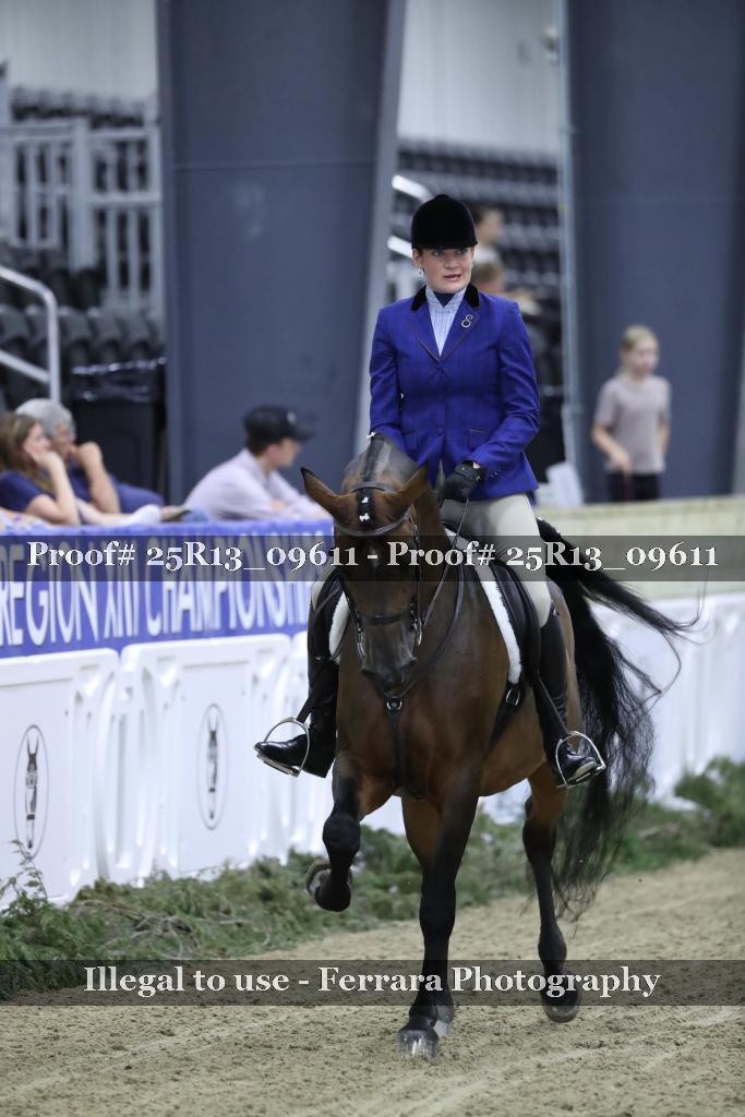 Proof Number 25R13_09611