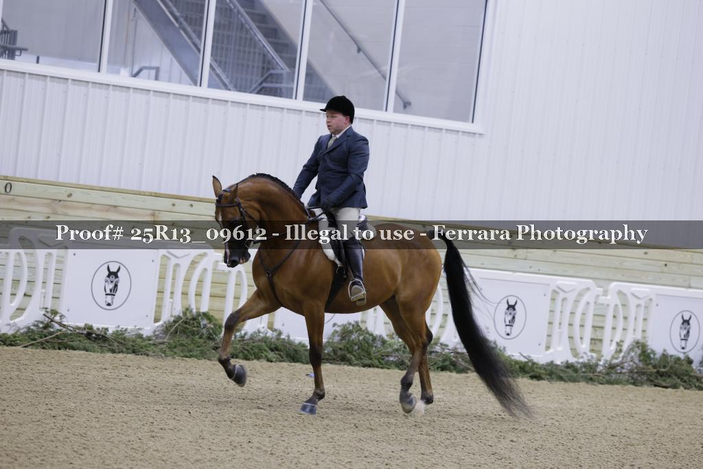 Proof Number 25R13_09612