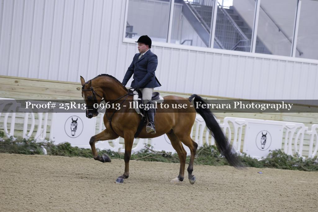 Proof Number 25R13_09613