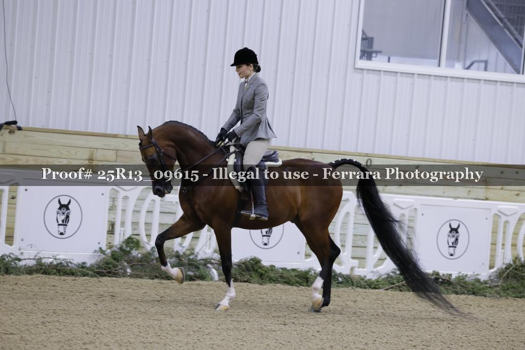 Proof Number 25R13_09615