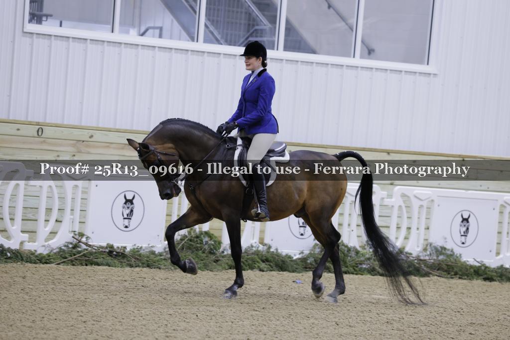 Proof Number 25R13_09616