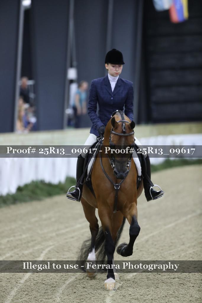 Proof Number 25R13_09617