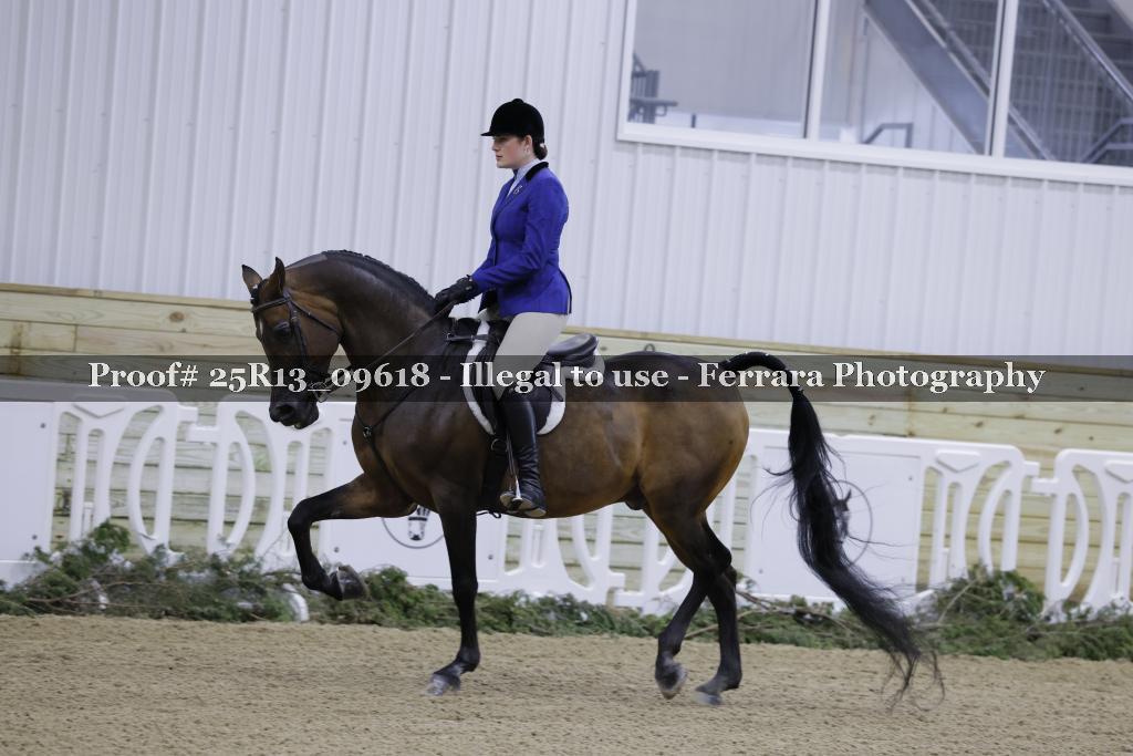 Proof Number 25R13_09618