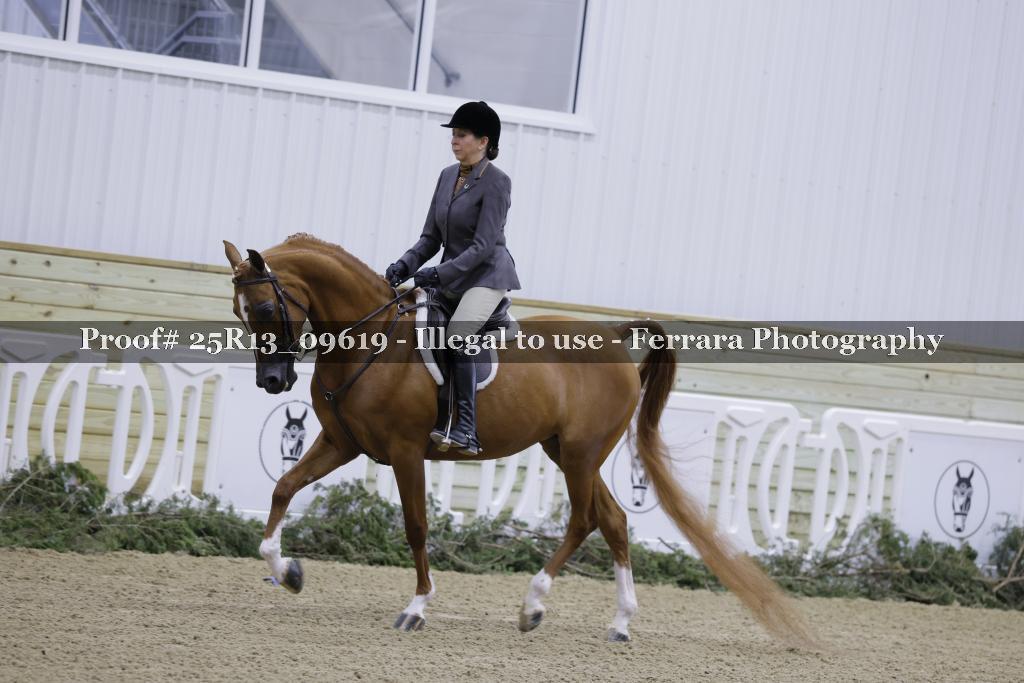 Proof Number 25R13_09619