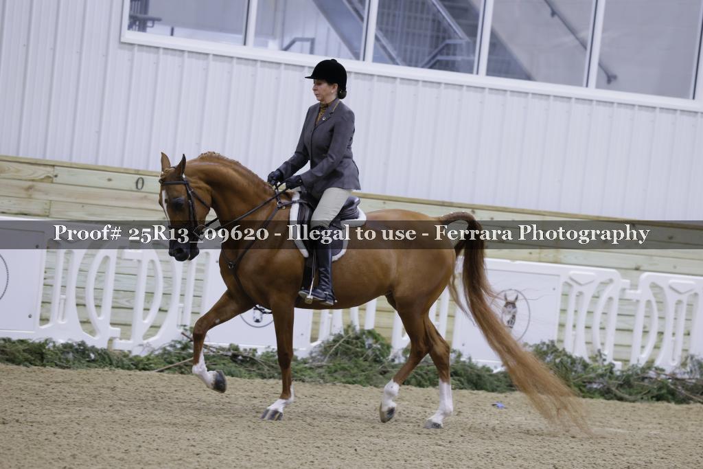 Proof Number 25R13_09620