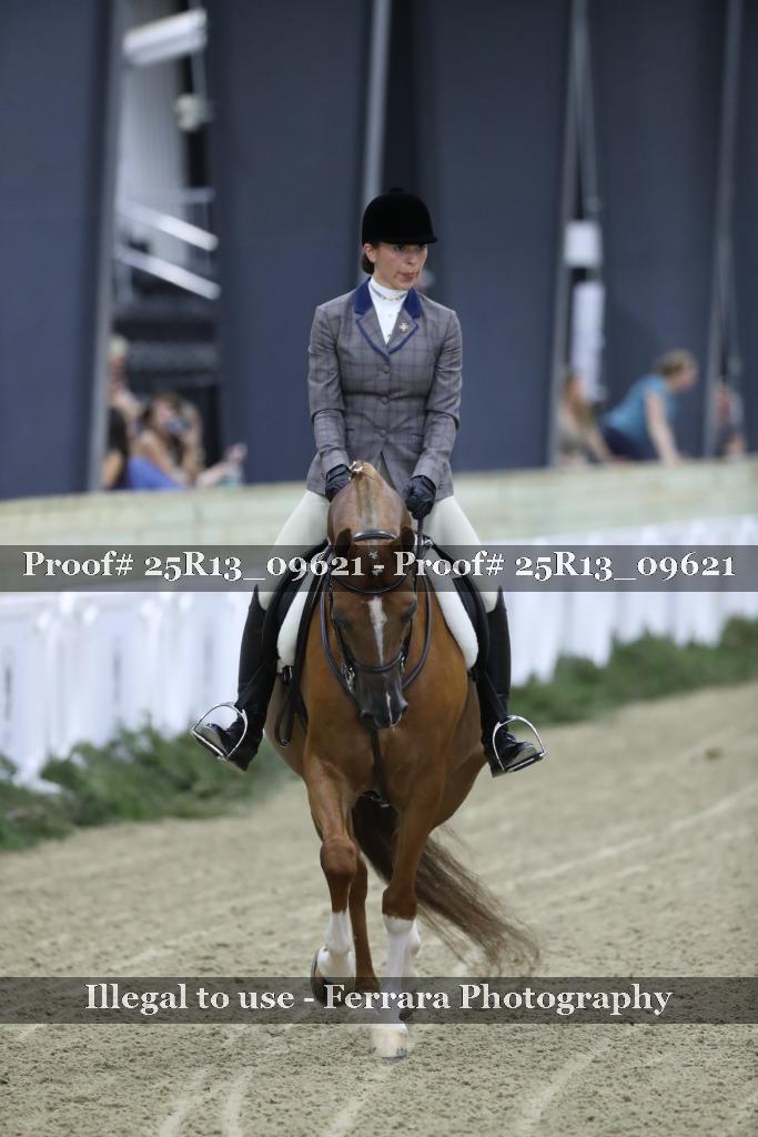 Proof Number 25R13_09621