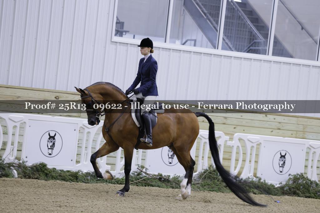 Proof Number 25R13_09622