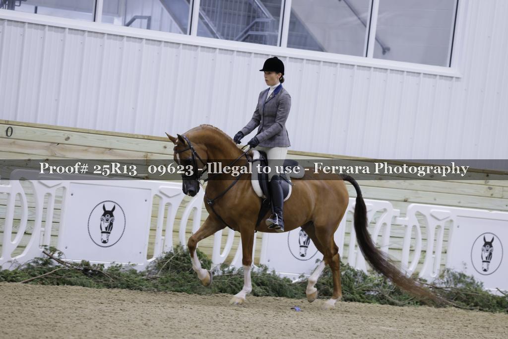 Proof Number 25R13_09623