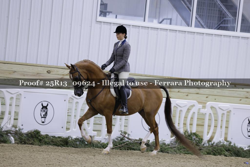 Proof Number 25R13_09624